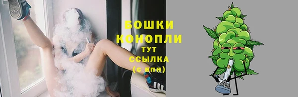 кокс Ростов