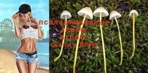 кокс Ростов