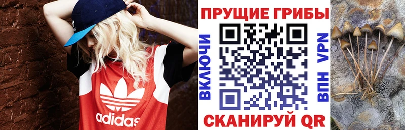 Псилоцибиновые грибы Magic Shrooms  OMG как зайти  Спас-Деменск 
